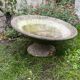 Vintage jardiniere vasque design 50 60