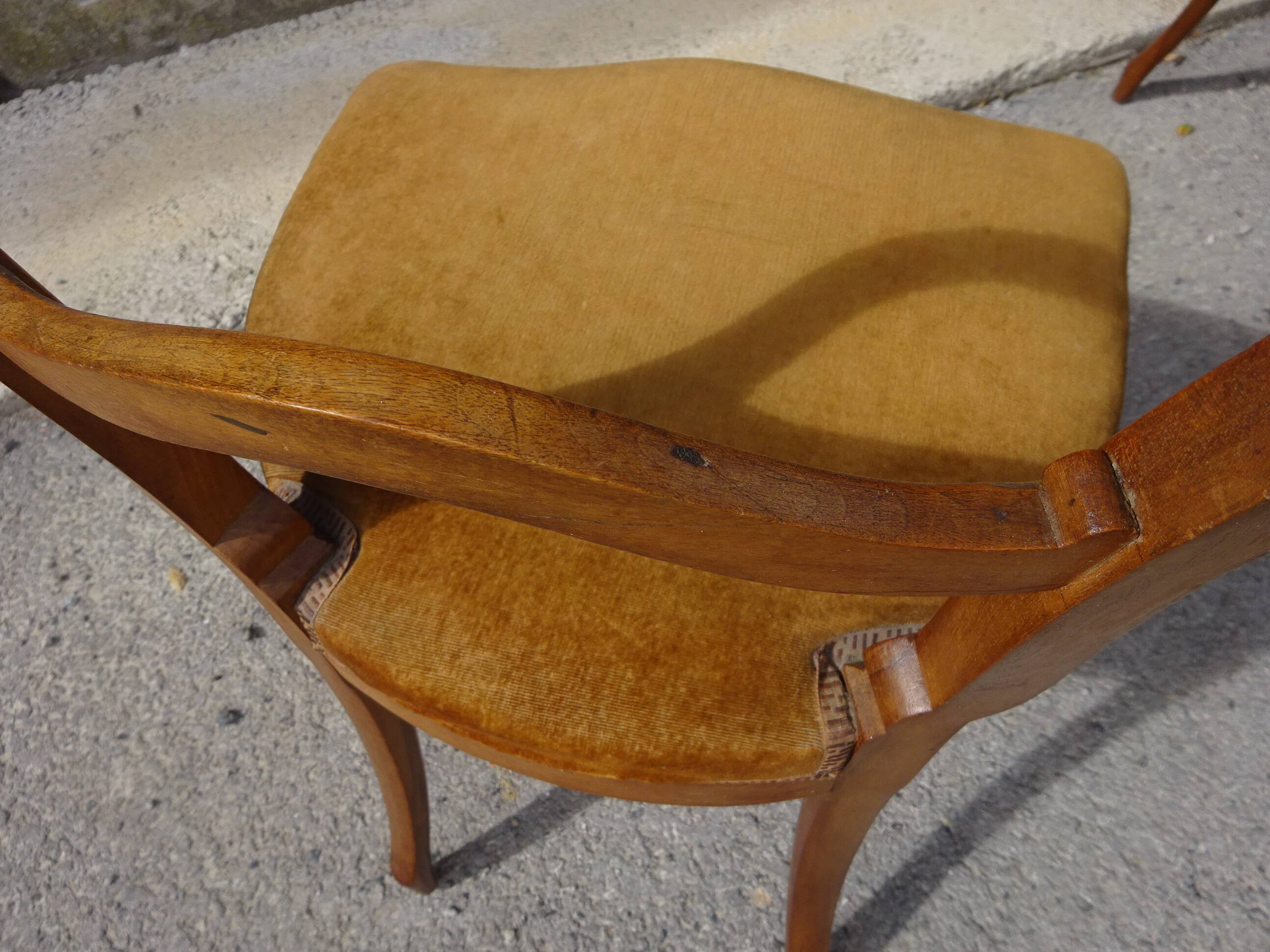 2 old chairs in walnut and velvet