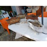 Set of 4 cast iron planters from 1900 from Charleville - Mézières, rockery style