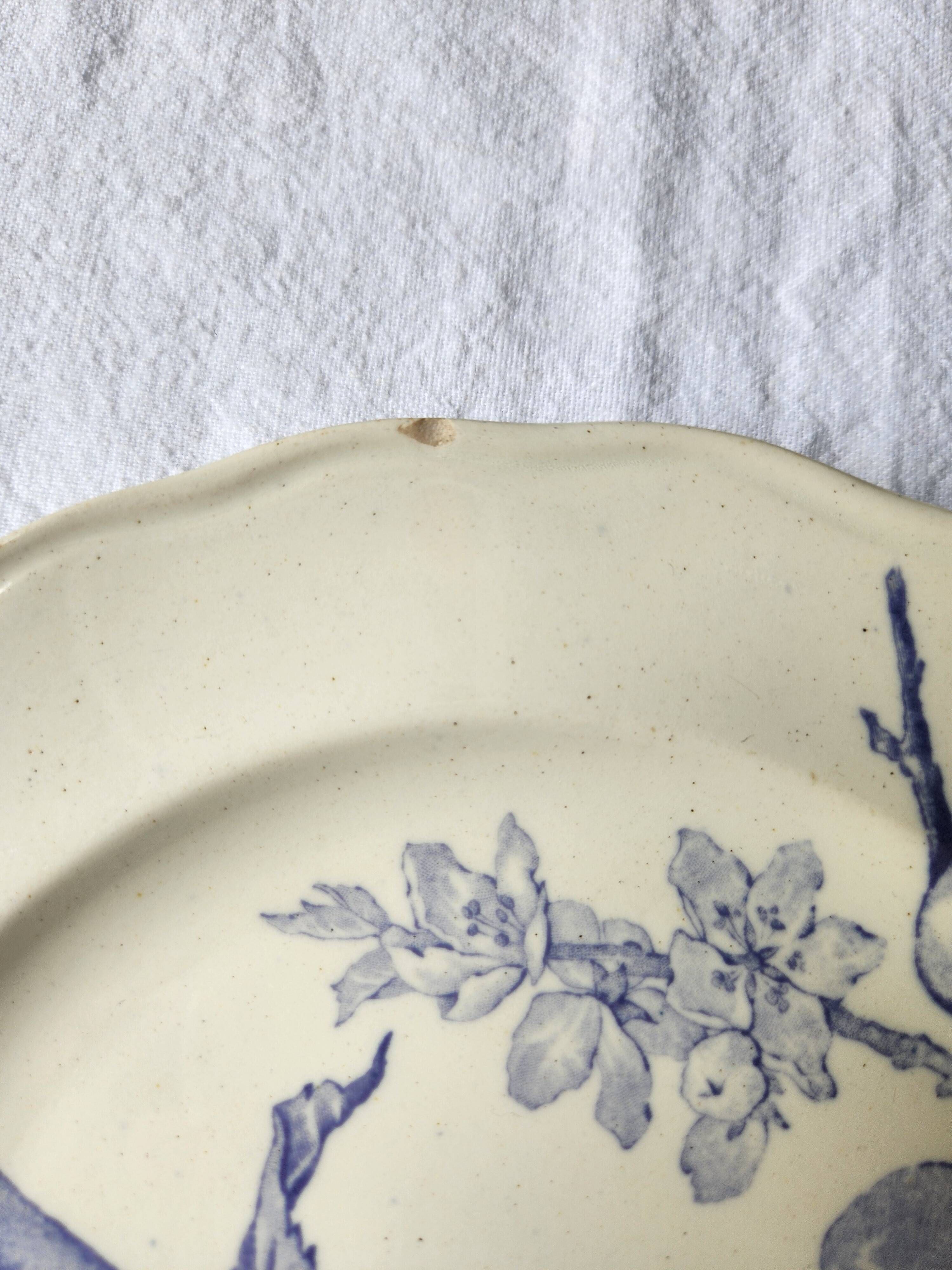 Plates x 4 English plates Brown Westhead Moore & Cie, Pomona decor, 1872. Rare.