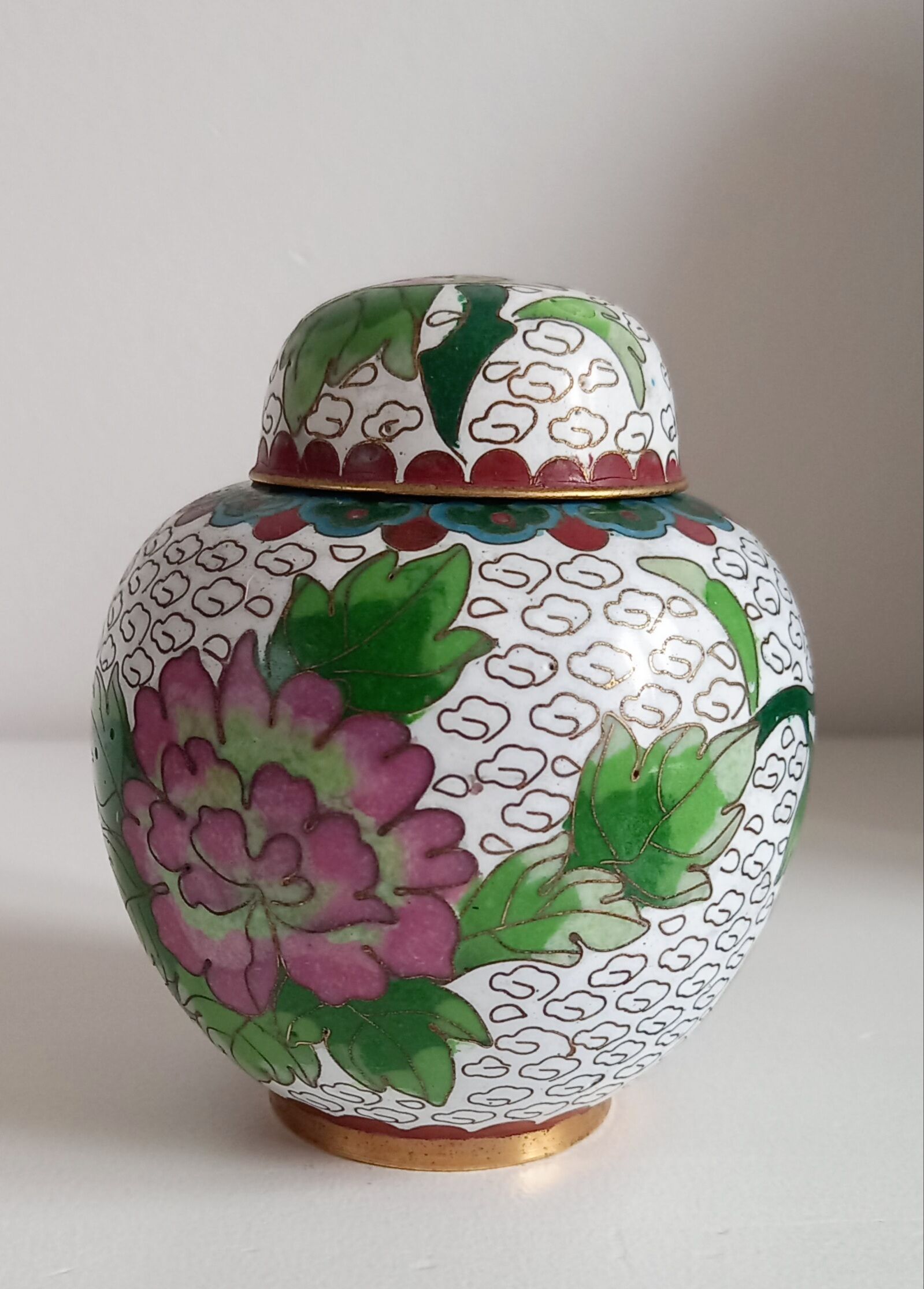 Partitioned ginger pot