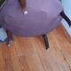 Fauteuil crapaud velours