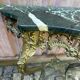 Console d'applique murale de style Louis XV bronze doré et marbre vert XIXè