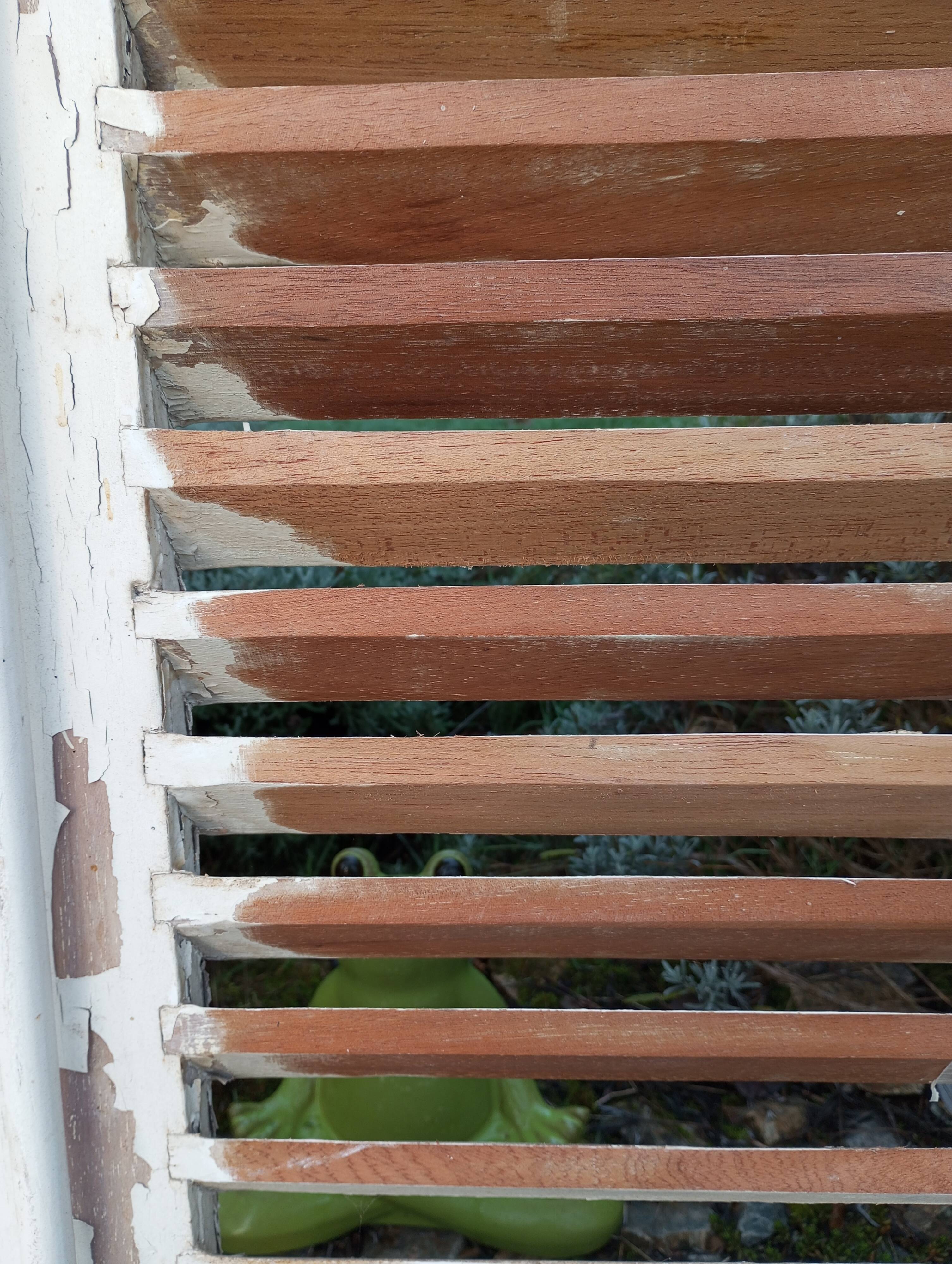 Pair of tropical wood shutters