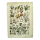 Gravure vintage de 1925 • Plantes dangereuses 1 •  planche vintage ancien