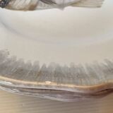 Six hand-decorated fish plates.