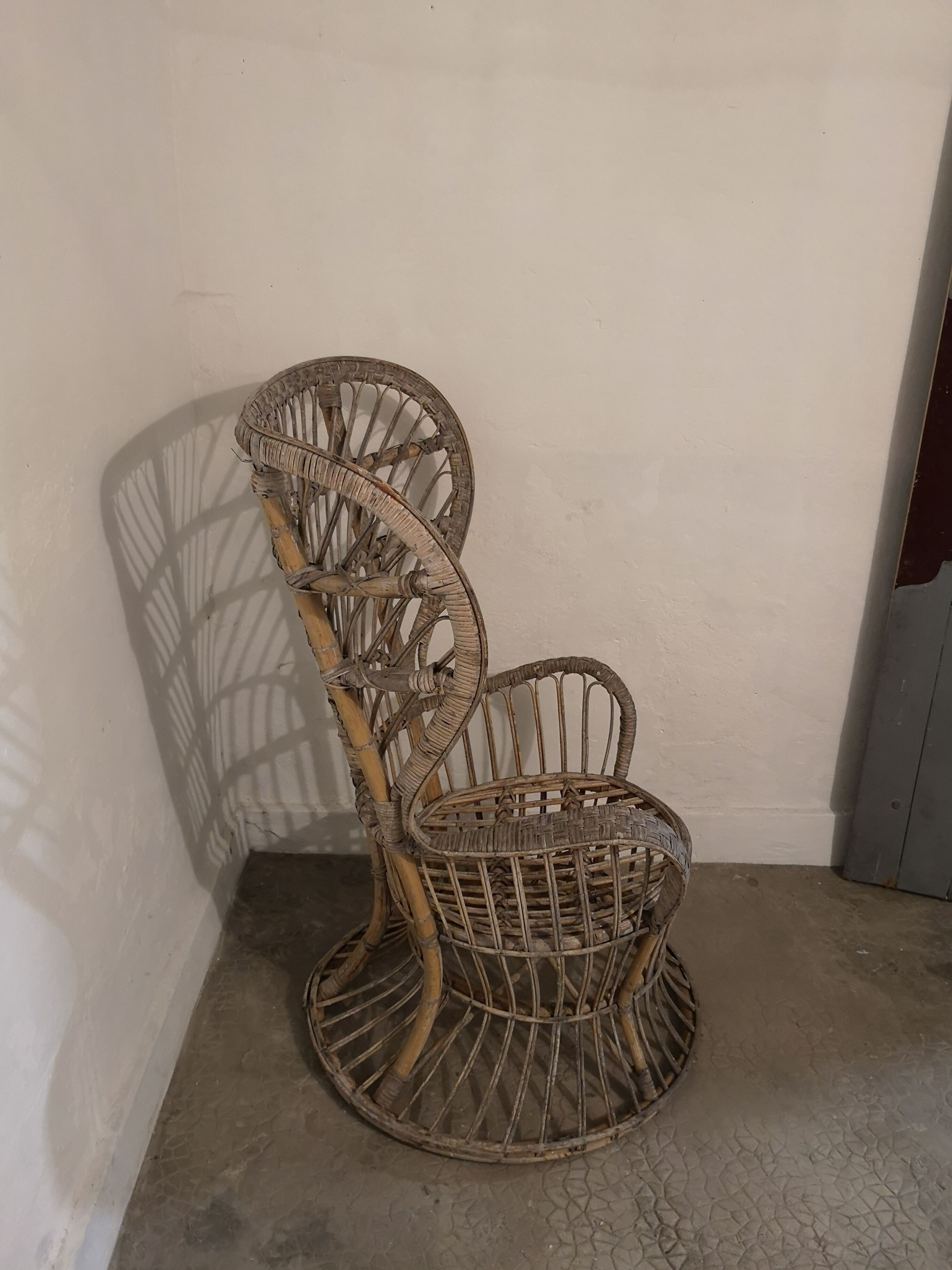 Armchair Emmanuelle rattan, Gio Ponti