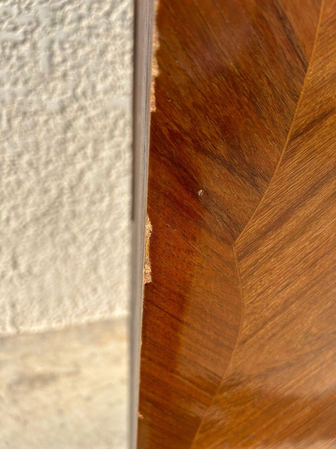 Curved rosewood secretary