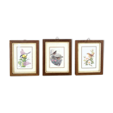 Set of three ornithological frames