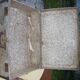 Travel case of the 50s