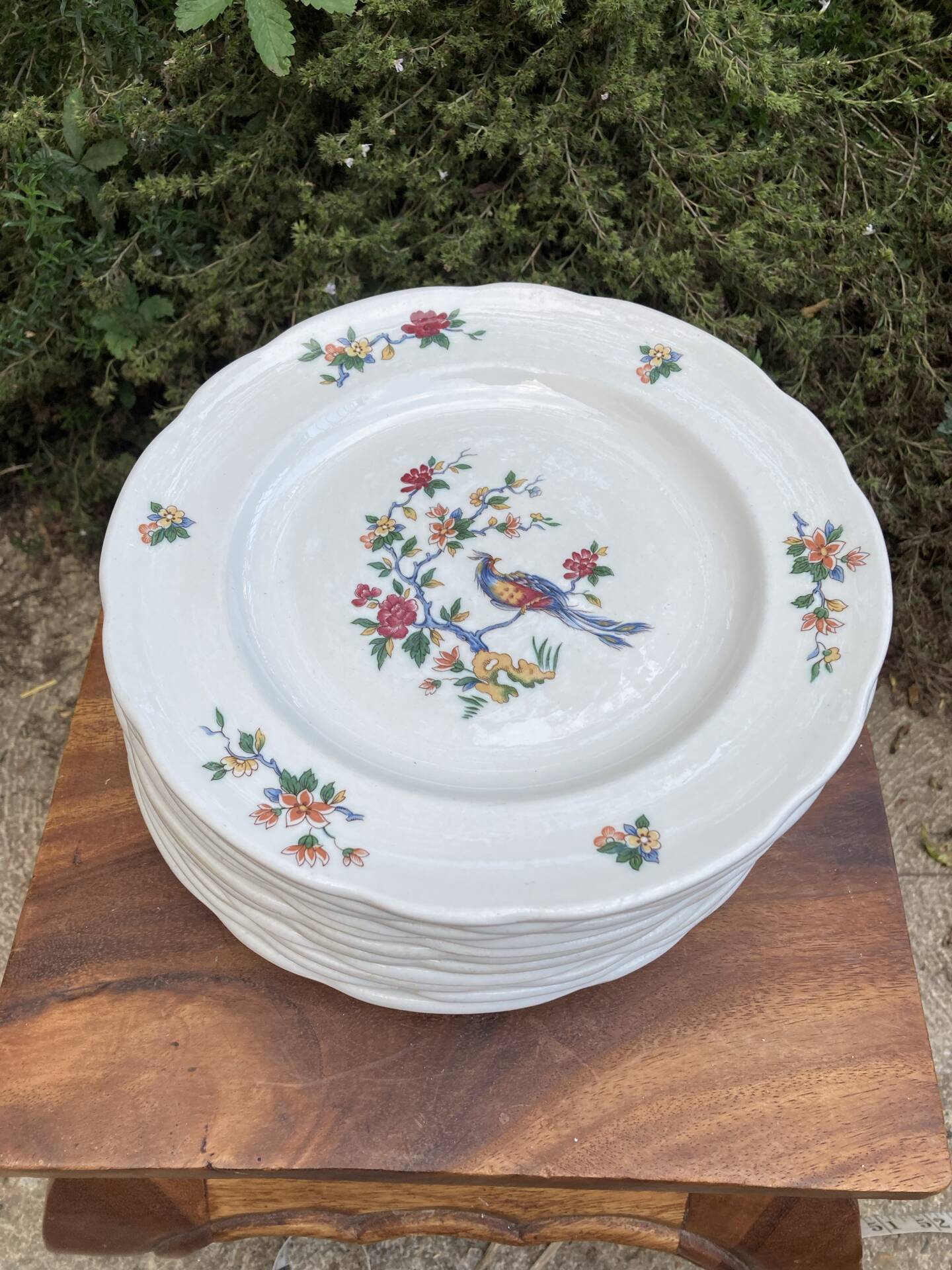 Sarreguemines plates paradise birds / Phoenix