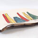 50s dish