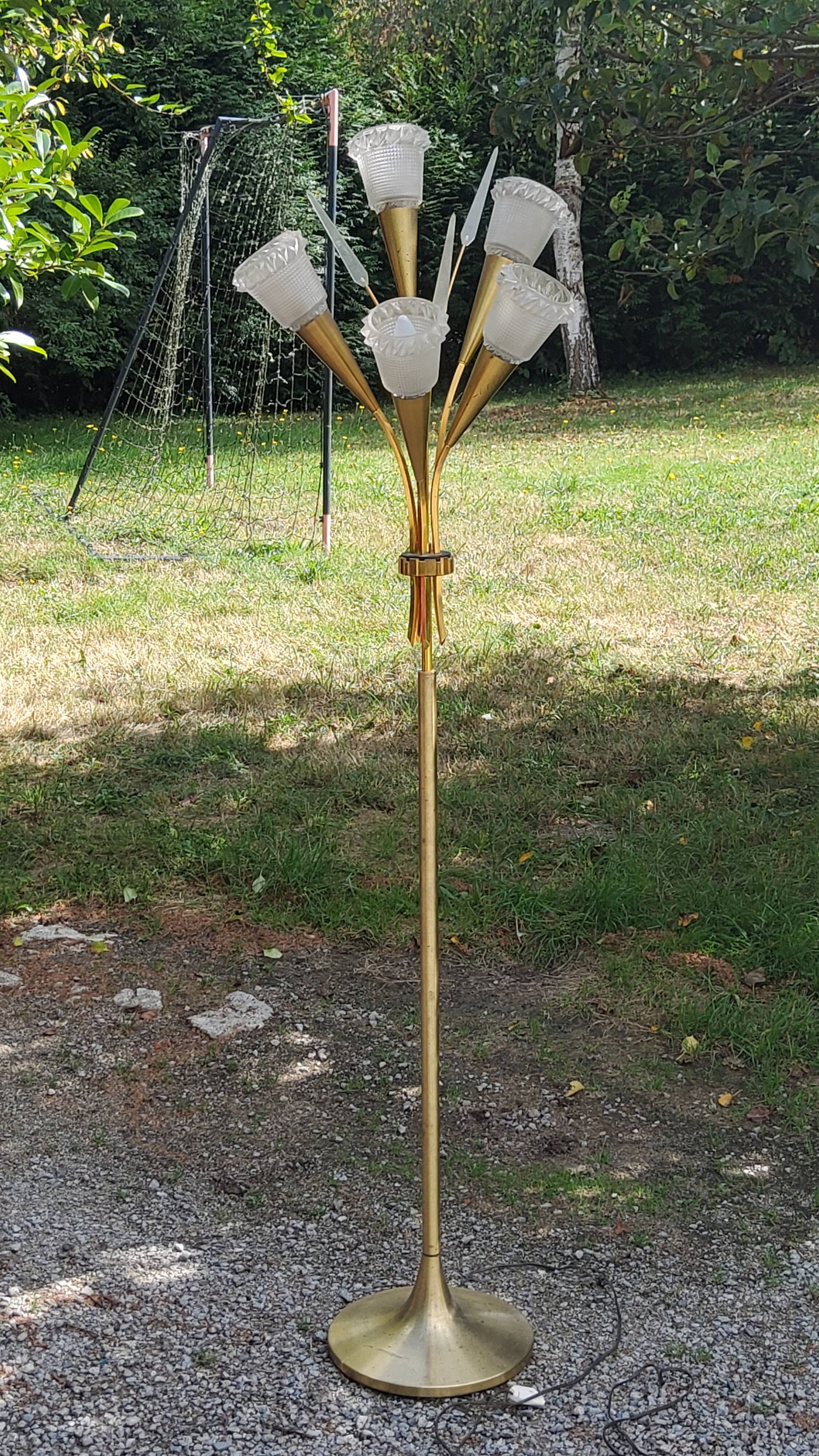 Vintage floor lamp in gilded brass with 5 glass tulips from the 50s
