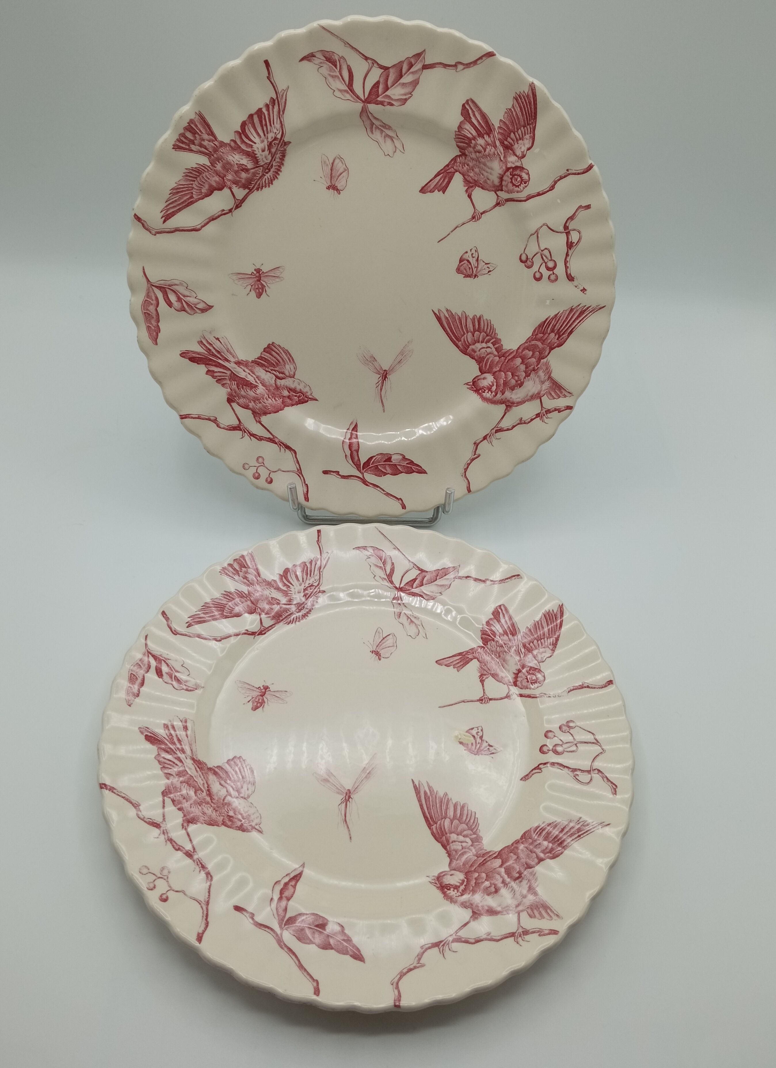 Longchamp earthenware plates