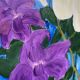 Tableau, huile sur toile fleurs