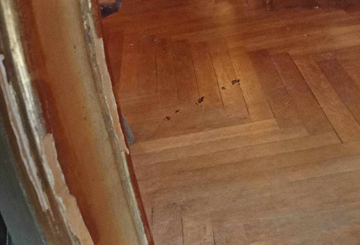 Antique Louis XV style trumeau mirror