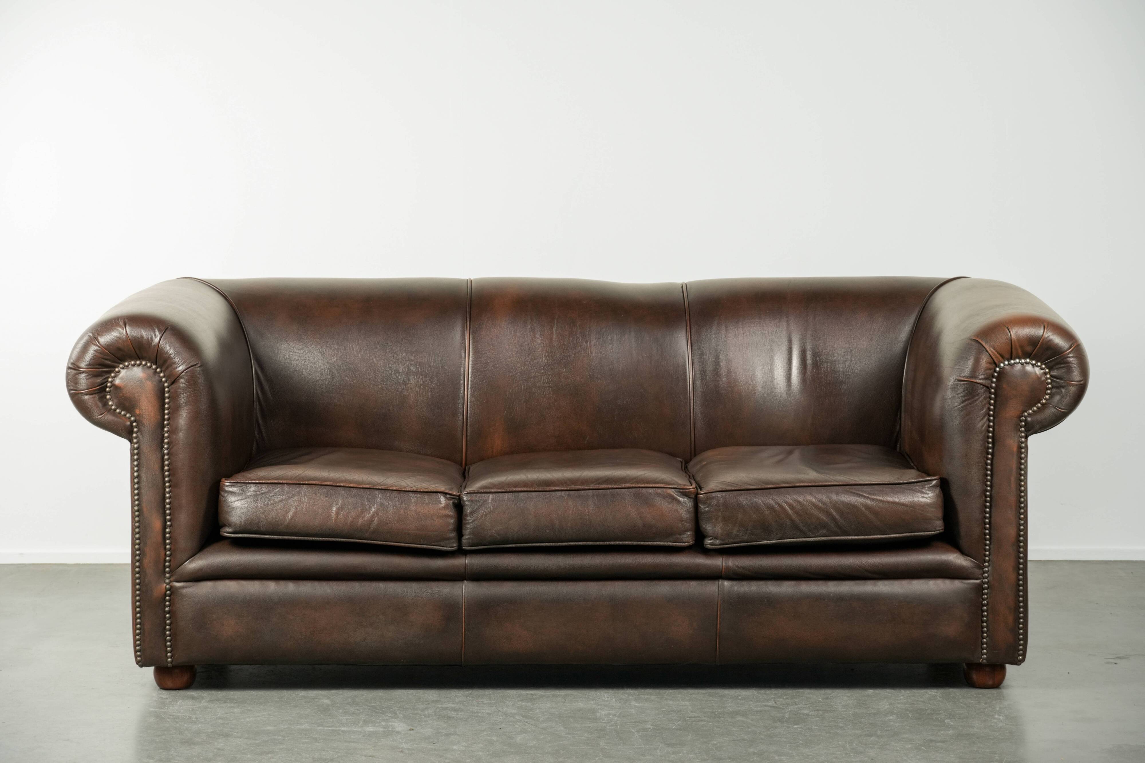 Set of a smooth chesterfield sofa and armchair with a timeless English look