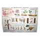 Nature school educational poster "plant multiplication" "the fertilization of a flower" lang