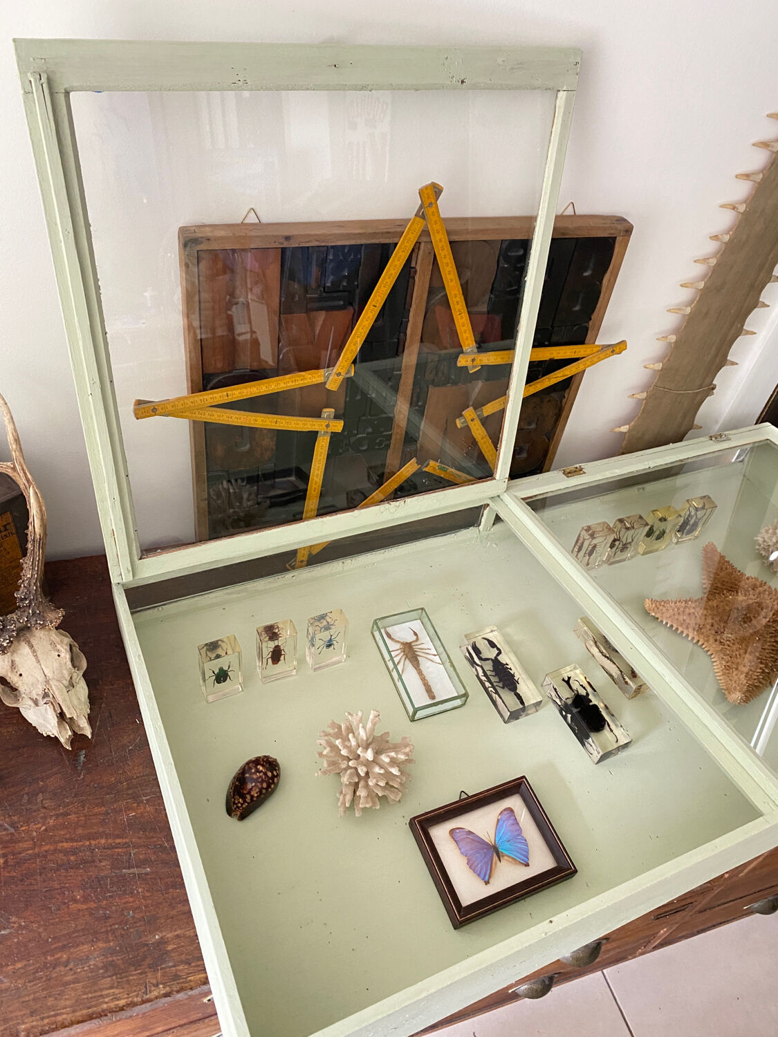 Display case with double glass