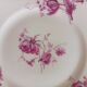 6 Maison Bernardaud dessert plates in Limoges porcelain