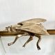 Cendrier mouche vintage