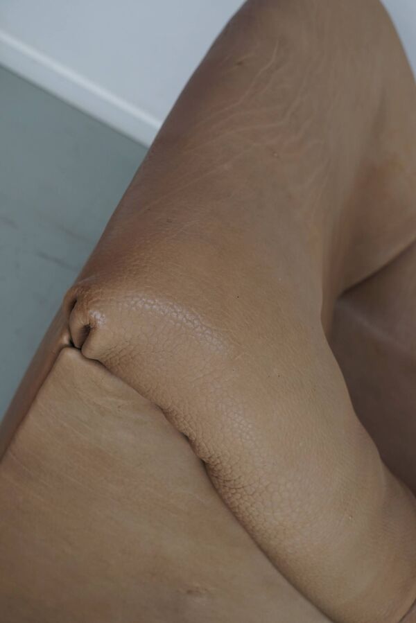 Fauteuil lounge De Sede DS46 en cuir de buffle beige/tan, Suisse