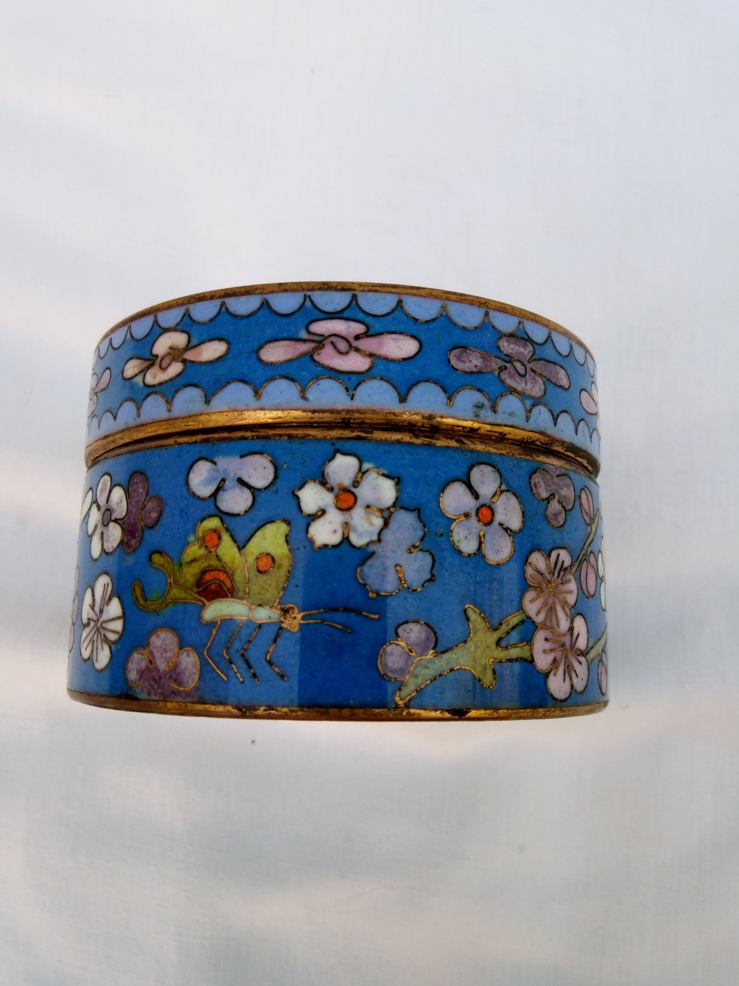 Box in partitioned enamels, china late 19th century