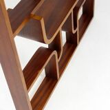 Restored Mid-Century Room Divider by Ludvik Volak for Drevopodnik Holesov, 1960s