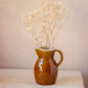 Pitcher in Berry sandstone