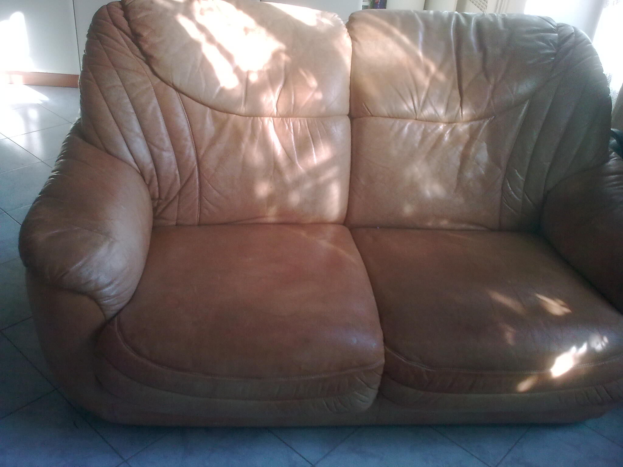 Wild leather sofa
