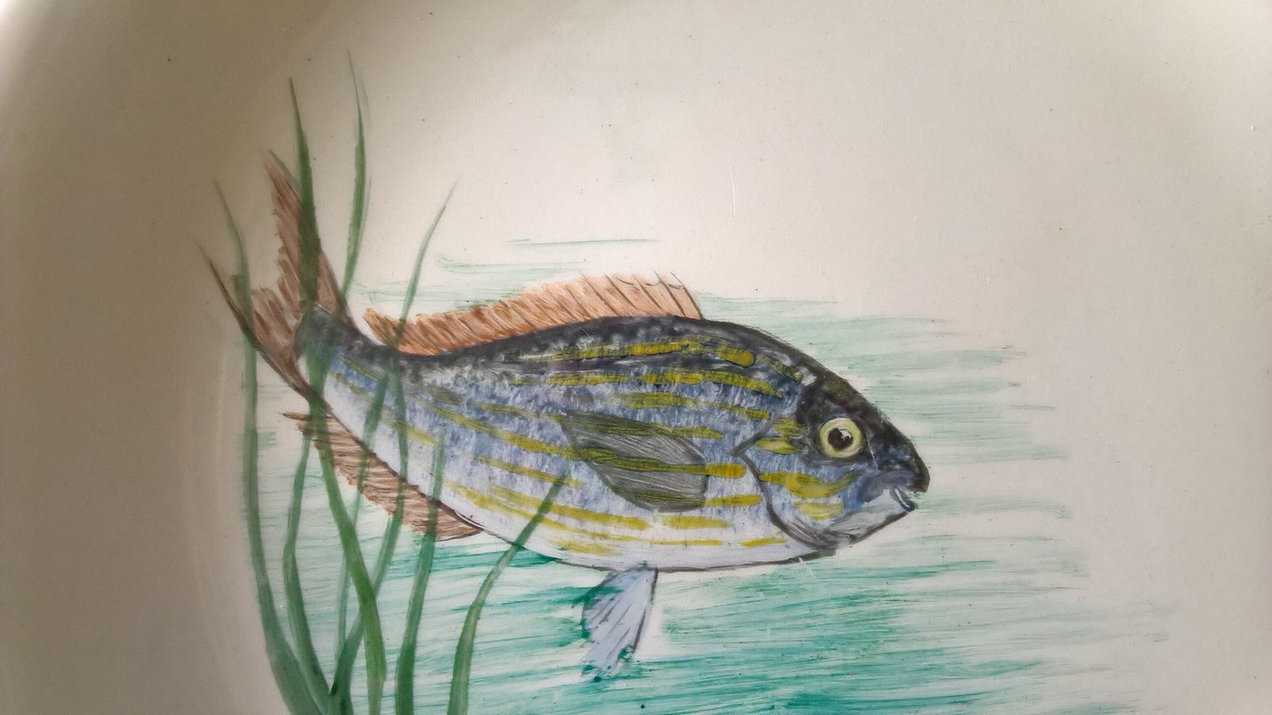 12 fish plates Proceram Cerel Aubagne, 1950s