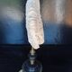 Cabinet of Curiosities 36cm coral brain of Neptune on base