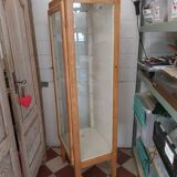 1950s medical display case
