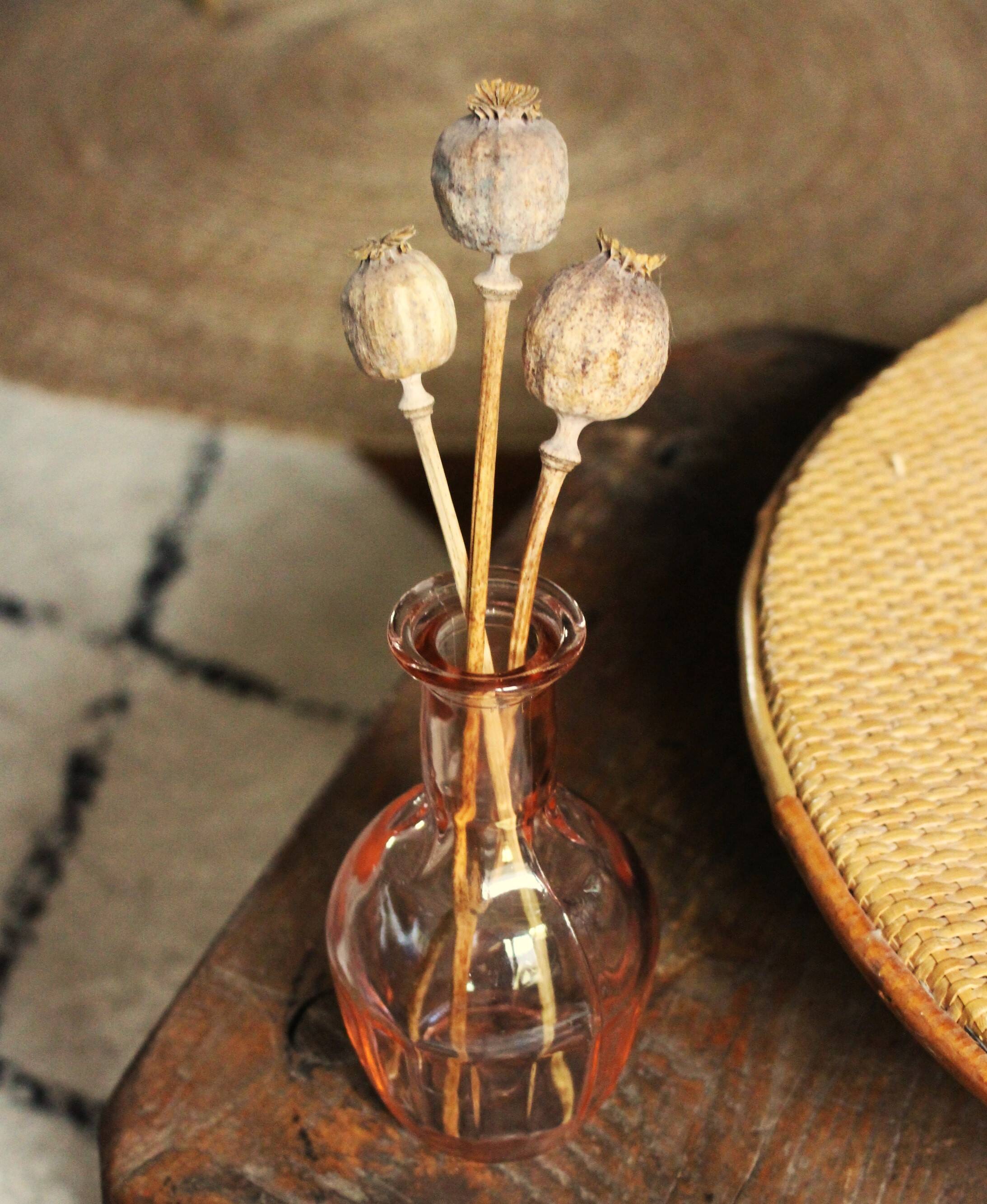 Pink glass vase Soliflore rosaline