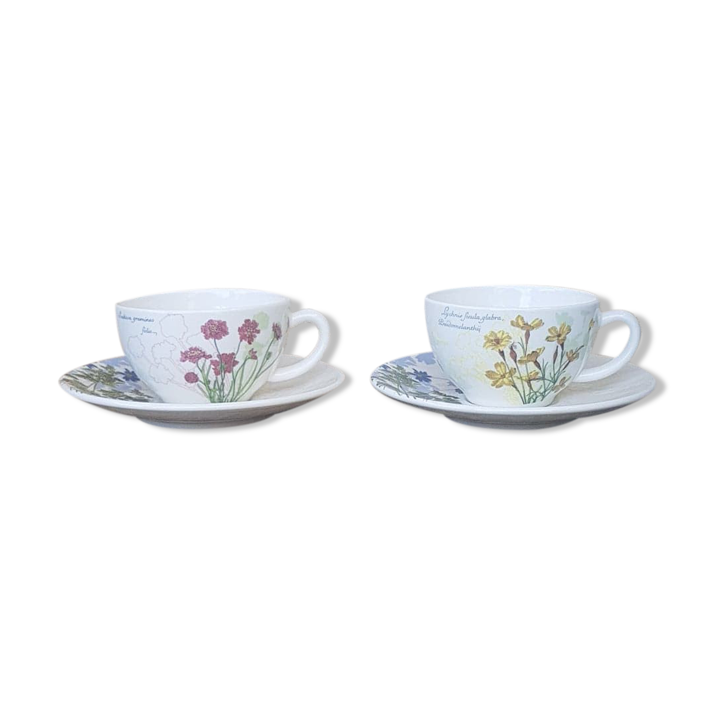 Set of 2 cups Gien L'Herbier du Roy