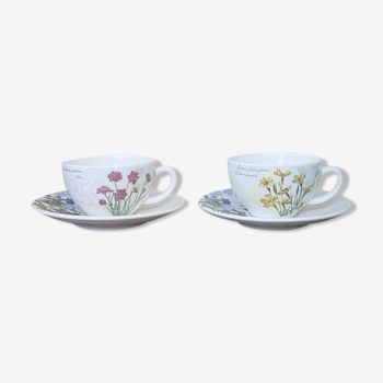 Lot de 2 tasses gien l'herbier du roy