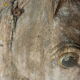 Cheval en bois