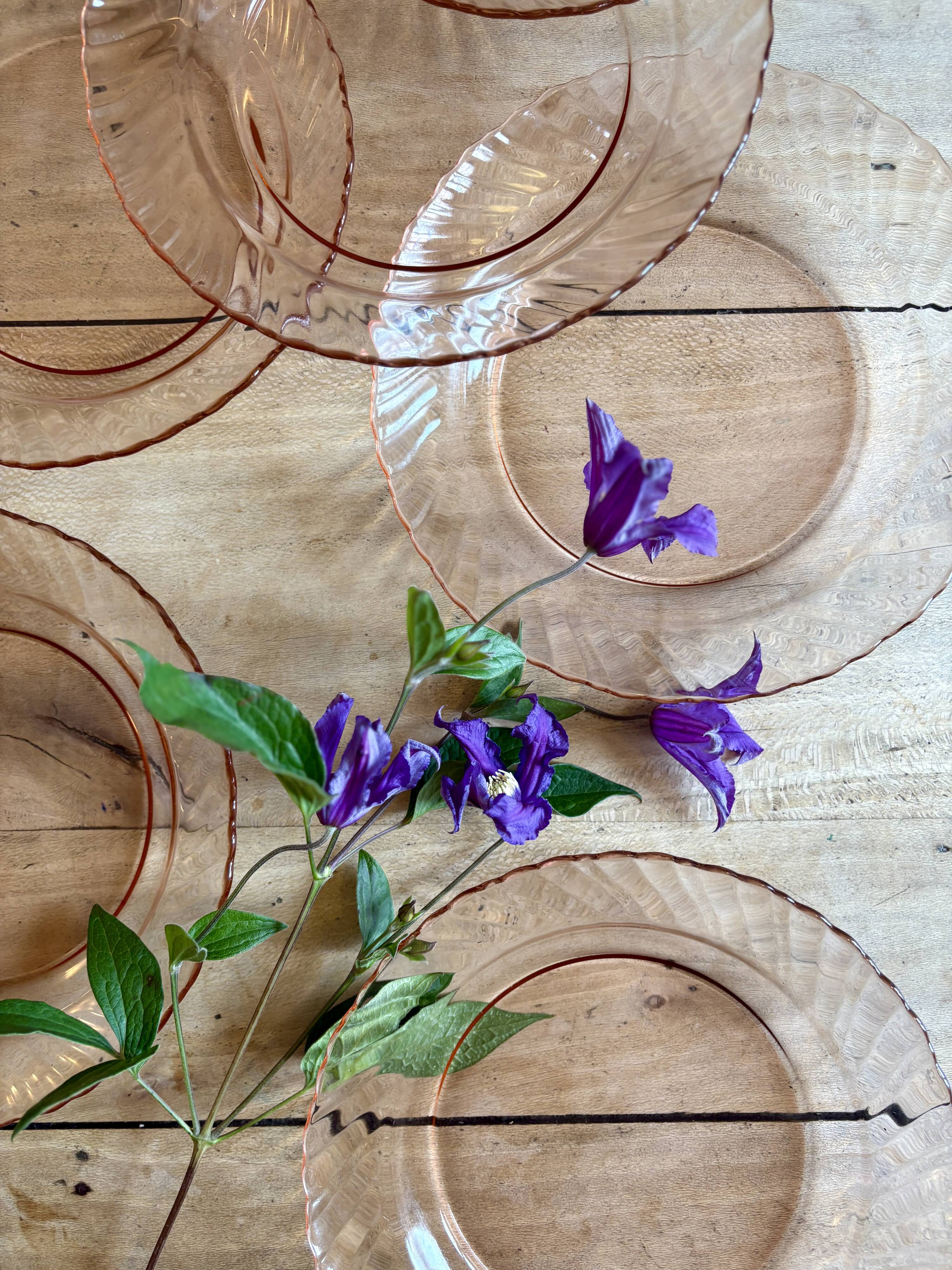 Set of 6 vintage Arcoroc rosaline soup plates