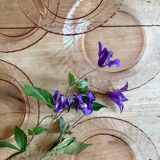 Set of 6 vintage Arcoroc rosaline soup plates