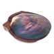 Olive wood and mother-of-pearl shell box A. Noll