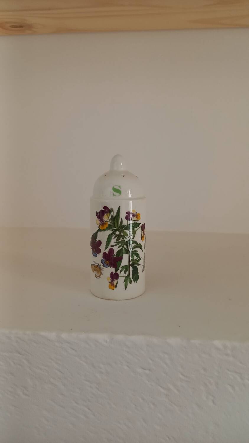 Salt and pepper shaker