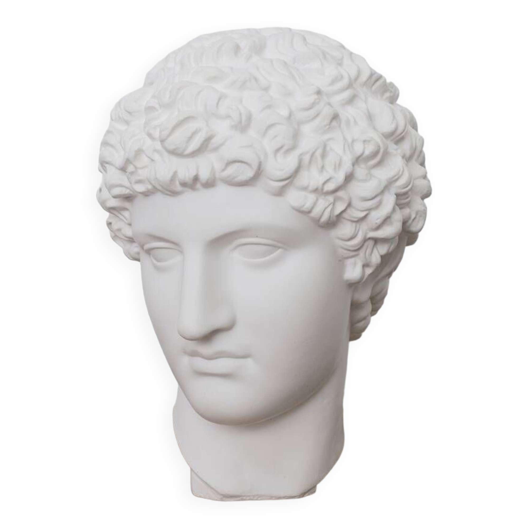 Greek head in waxed white plaster