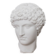 Greek head in waxed white plaster
