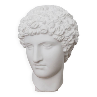 Greek head in waxed white plaster