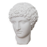 Greek head in waxed white plaster
