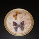Naturalized butterfly