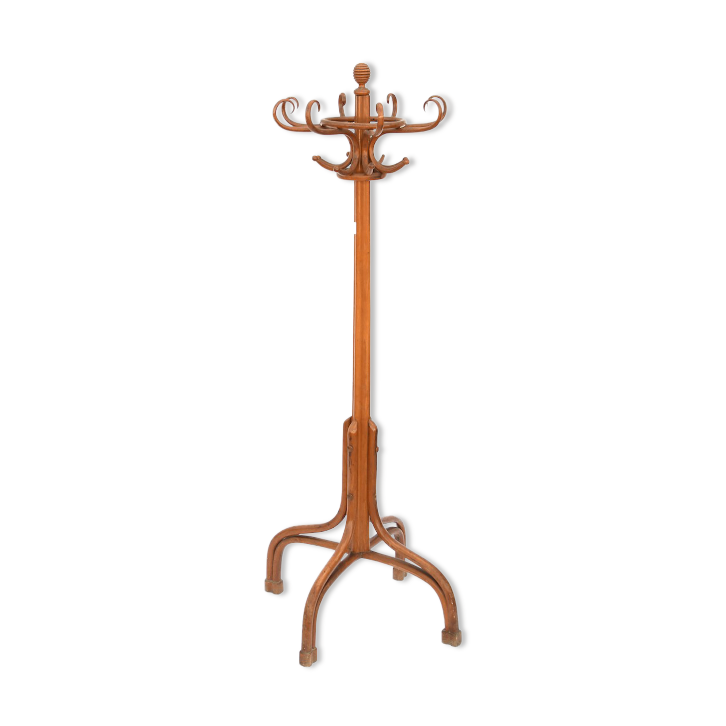 Parrot coat rack in curved wood