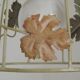 French vintage ceiling light in the shape of a cage with autumn leaves 4620