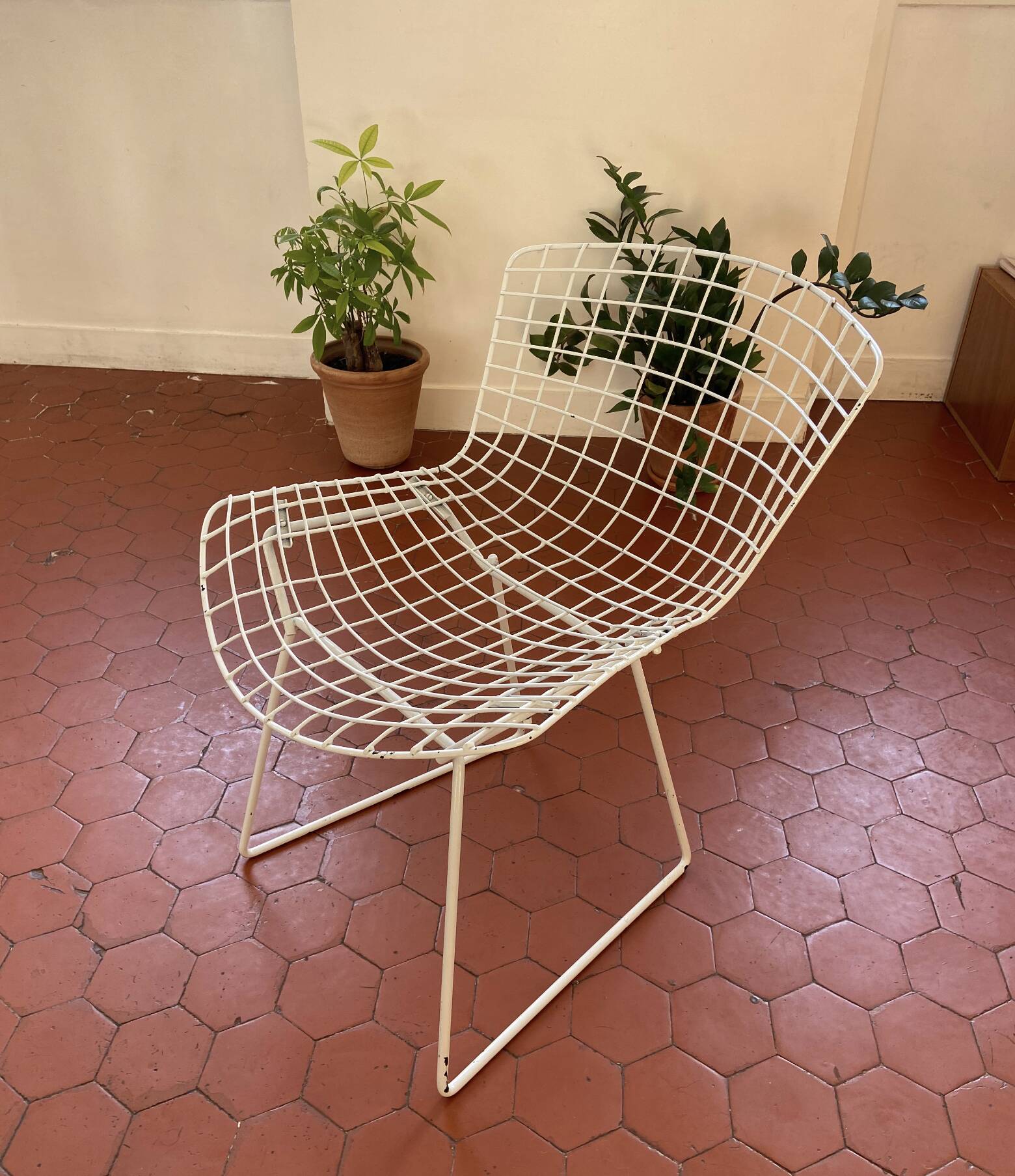 Harry Bertoia chairs