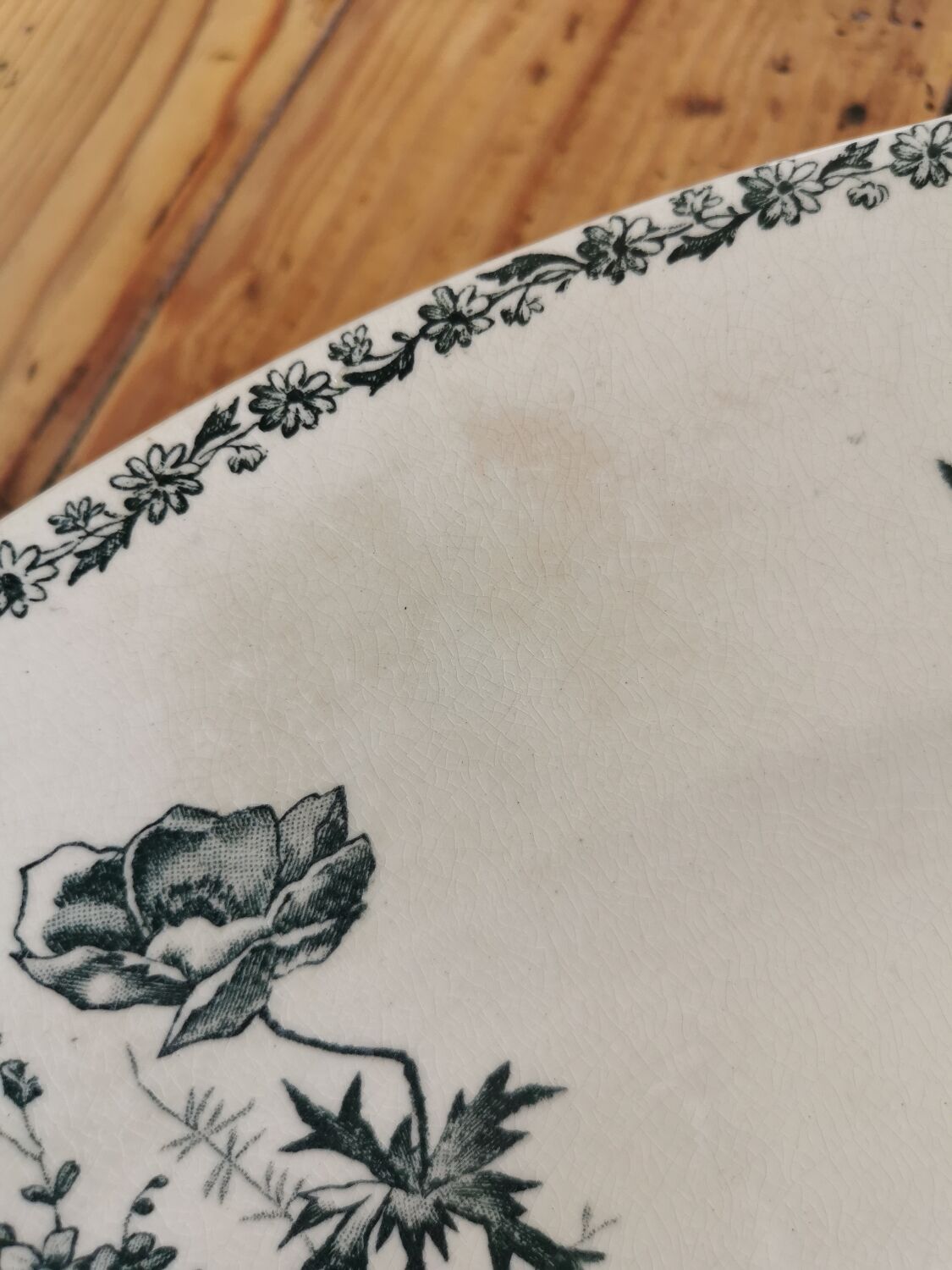 Old oval plate in iron earth